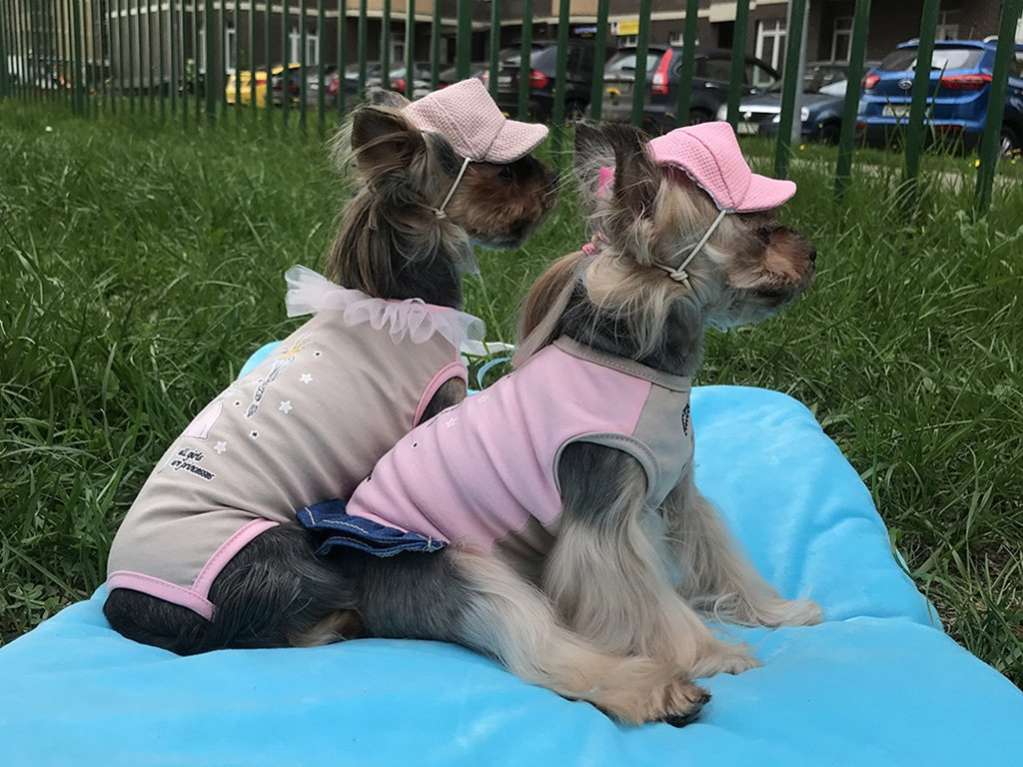 Майка для собаки Песочник Premium Маленькая принцесса