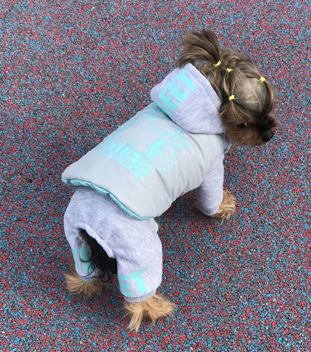 Комплект костюм и жилет для собаки Premium Неон