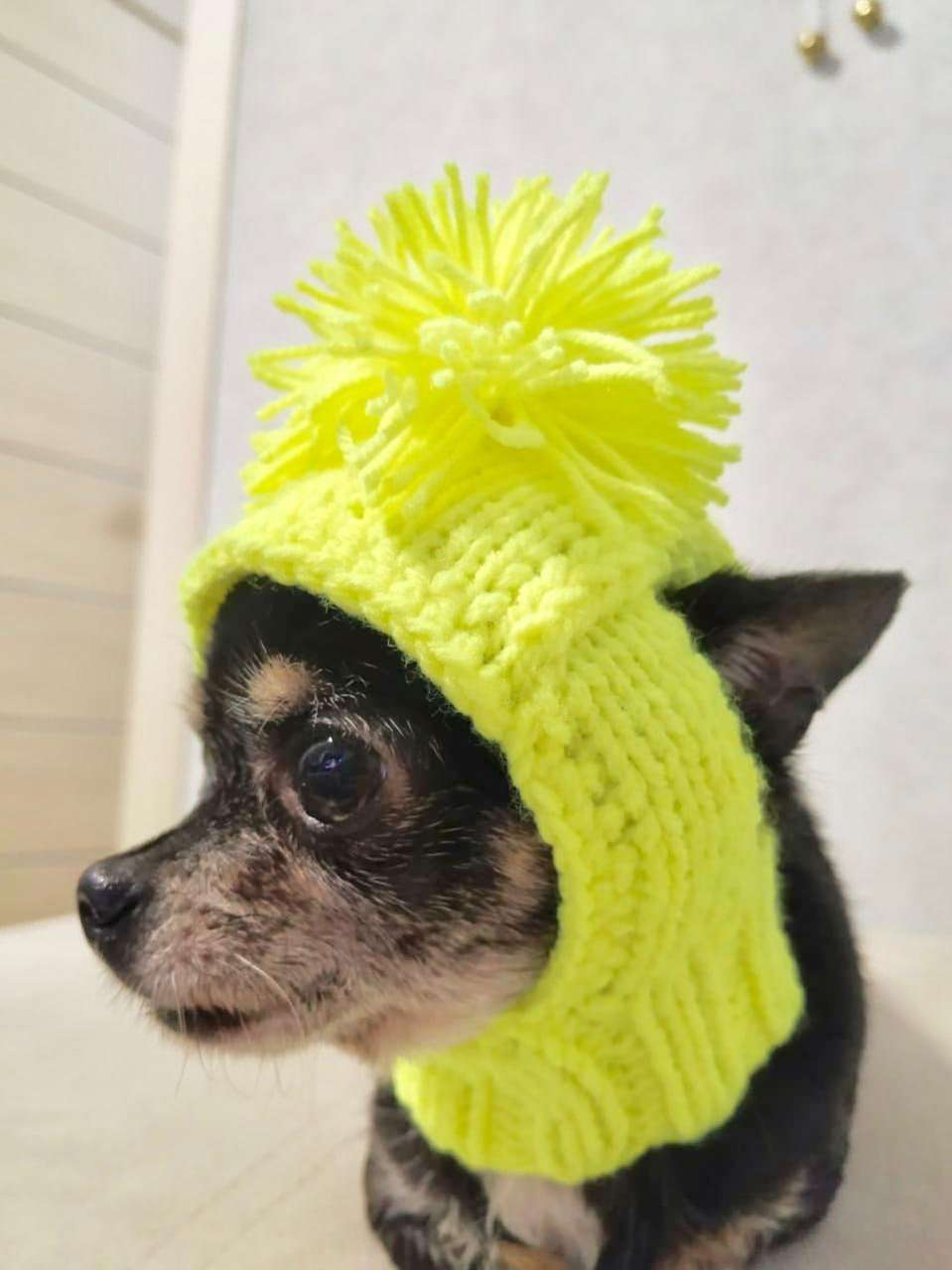 Вязаная шапка для собаки капор с открытыми ушами Puffy Фреш