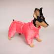 Комбинезон для собак Полярное сияние Коралл на шелке