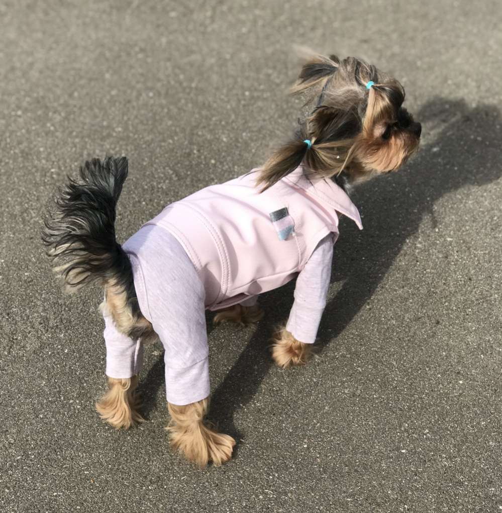 Жилетка для собаки кожаная Premium Кэнди