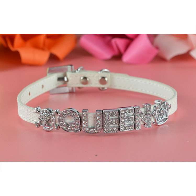 Буквы на ошейник для собак