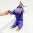 Комбинезон для собак Северное сияние Вайлет