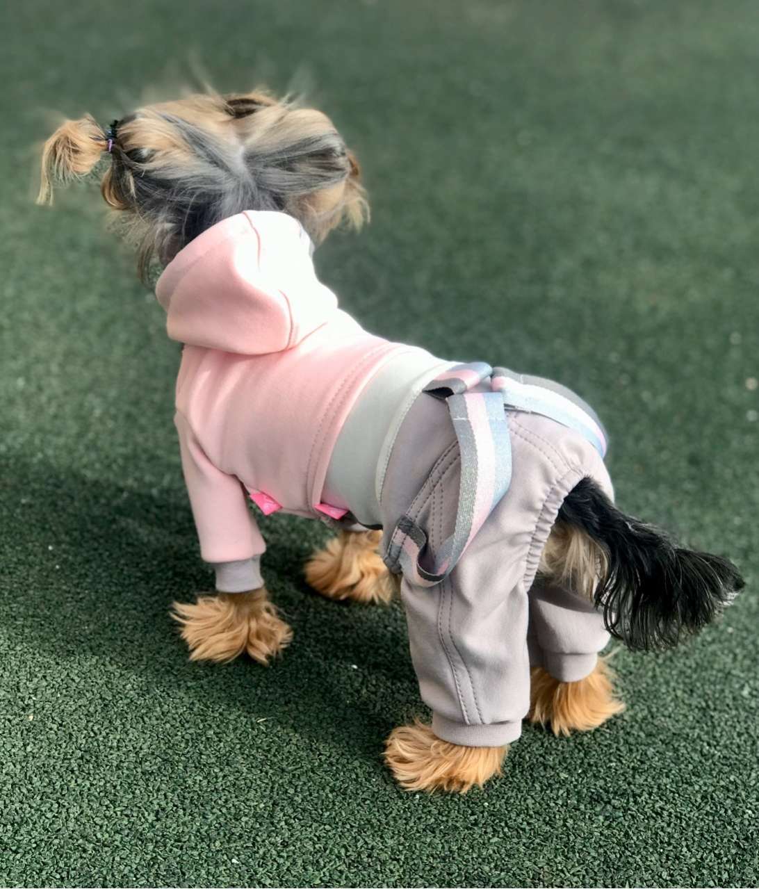 Комплект костюм и толстовка  для собаки Premium Кэнди