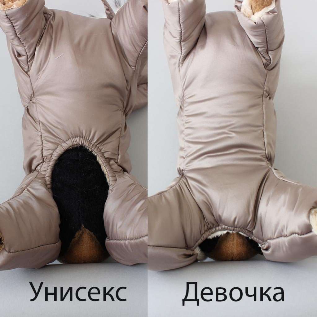 Зимний комбинезон для собак Северное сияние Гавана