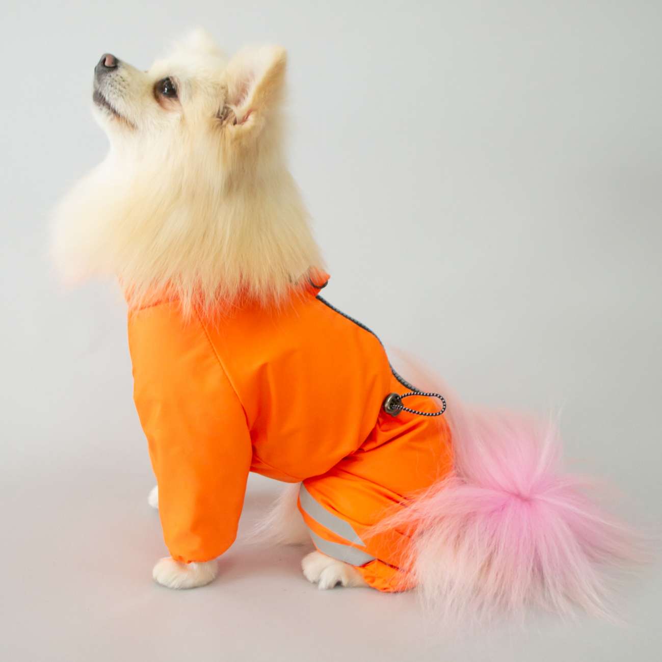 Дождевик для собаки Puffy Rich