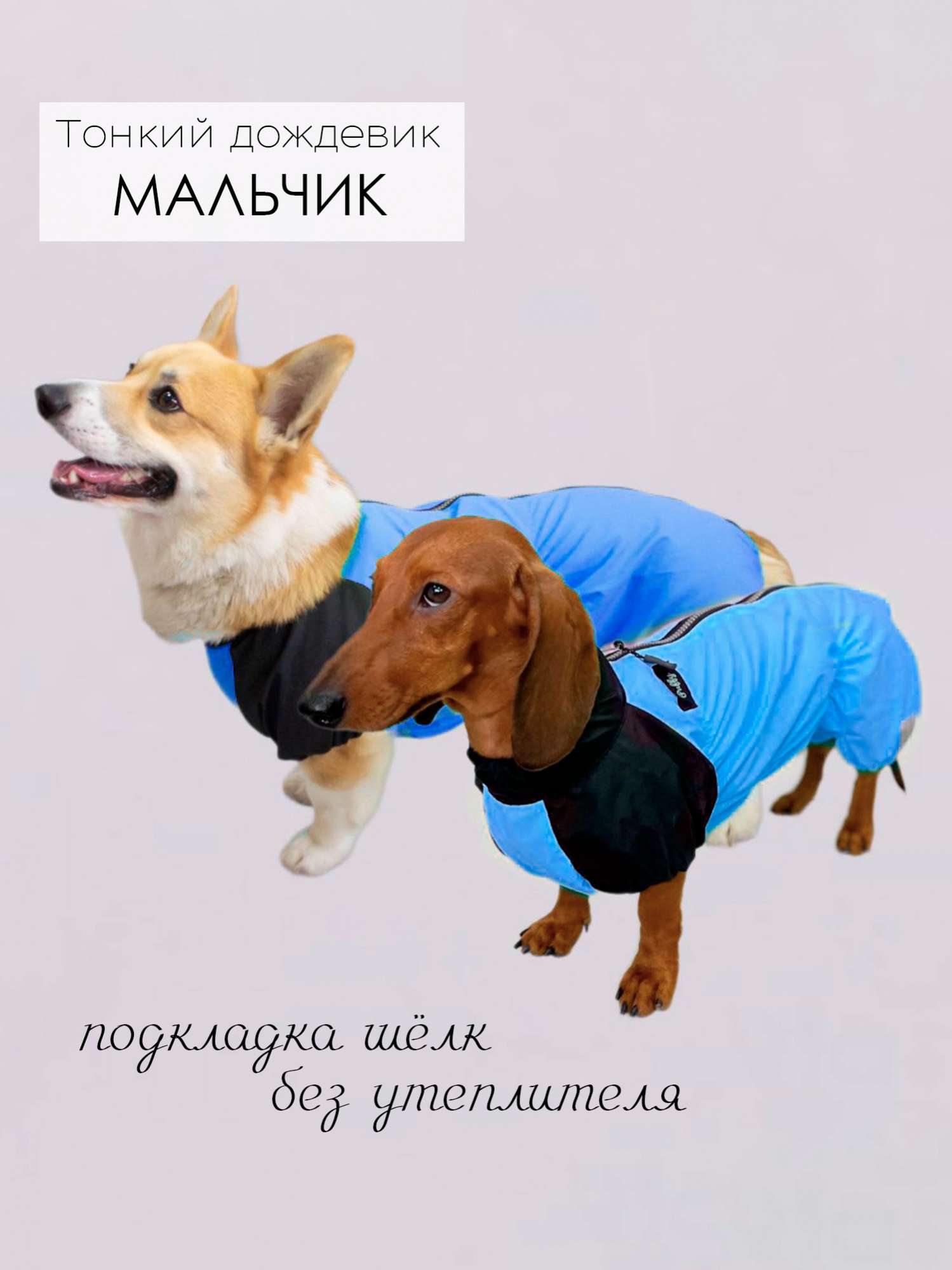 Дождевик для таксы и корги Puffy Лайм Синий