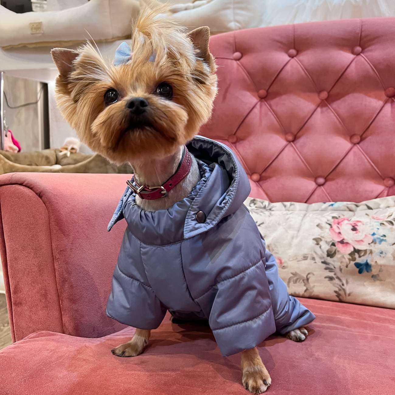 Комбинезон для собак Puffy Сидней