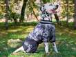 Комбинезон для собак на широкую грудь ForMyDogs Wolf