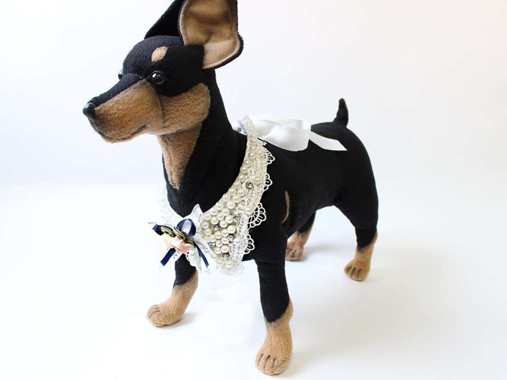 Воротник для собак Pet Жемчужинка