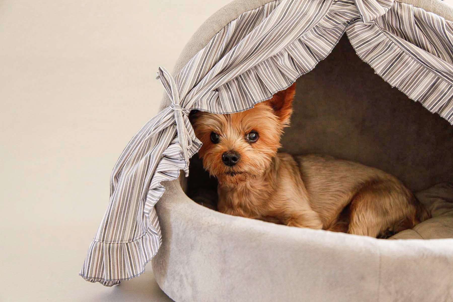 Домик для собаки со шторками Puffy Пепел