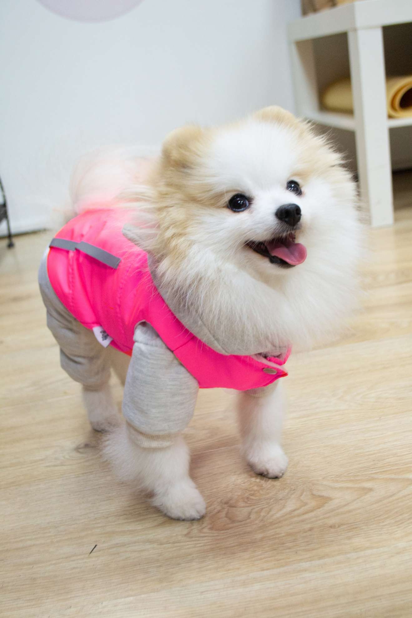 Жилетка для собаки Puffy Лайт Бирюзовый