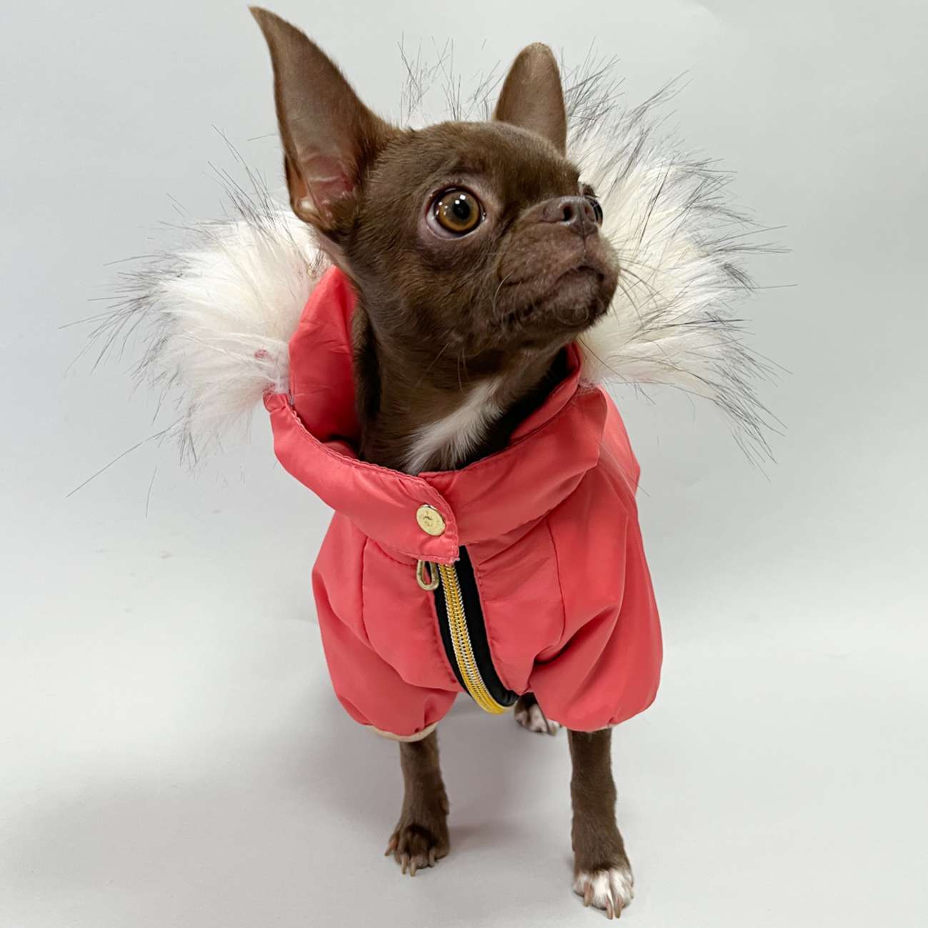 Зимний комбинезон для собак Арктическая зима коралловый