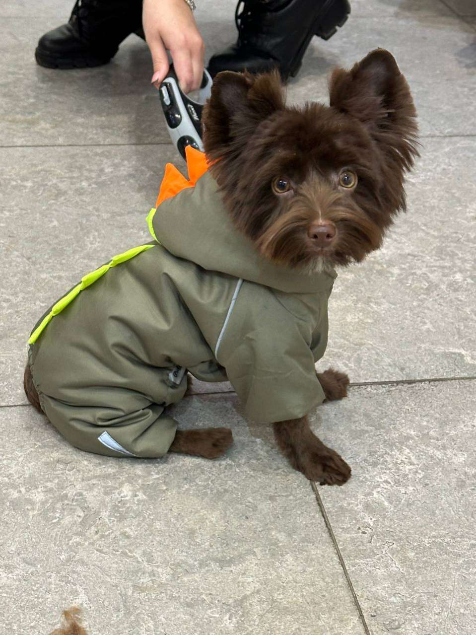 Комбинезон Puffy Дино Хаки