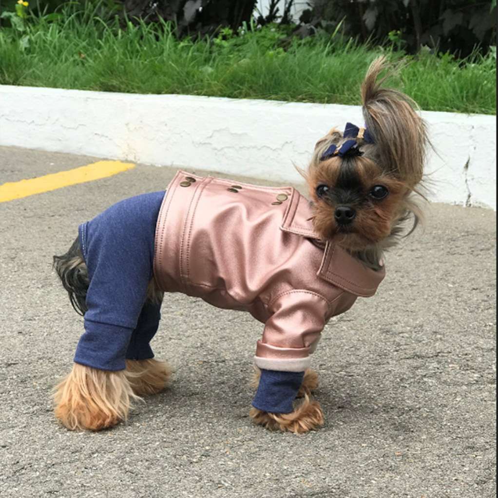 Кожаная куртка для собак Premium