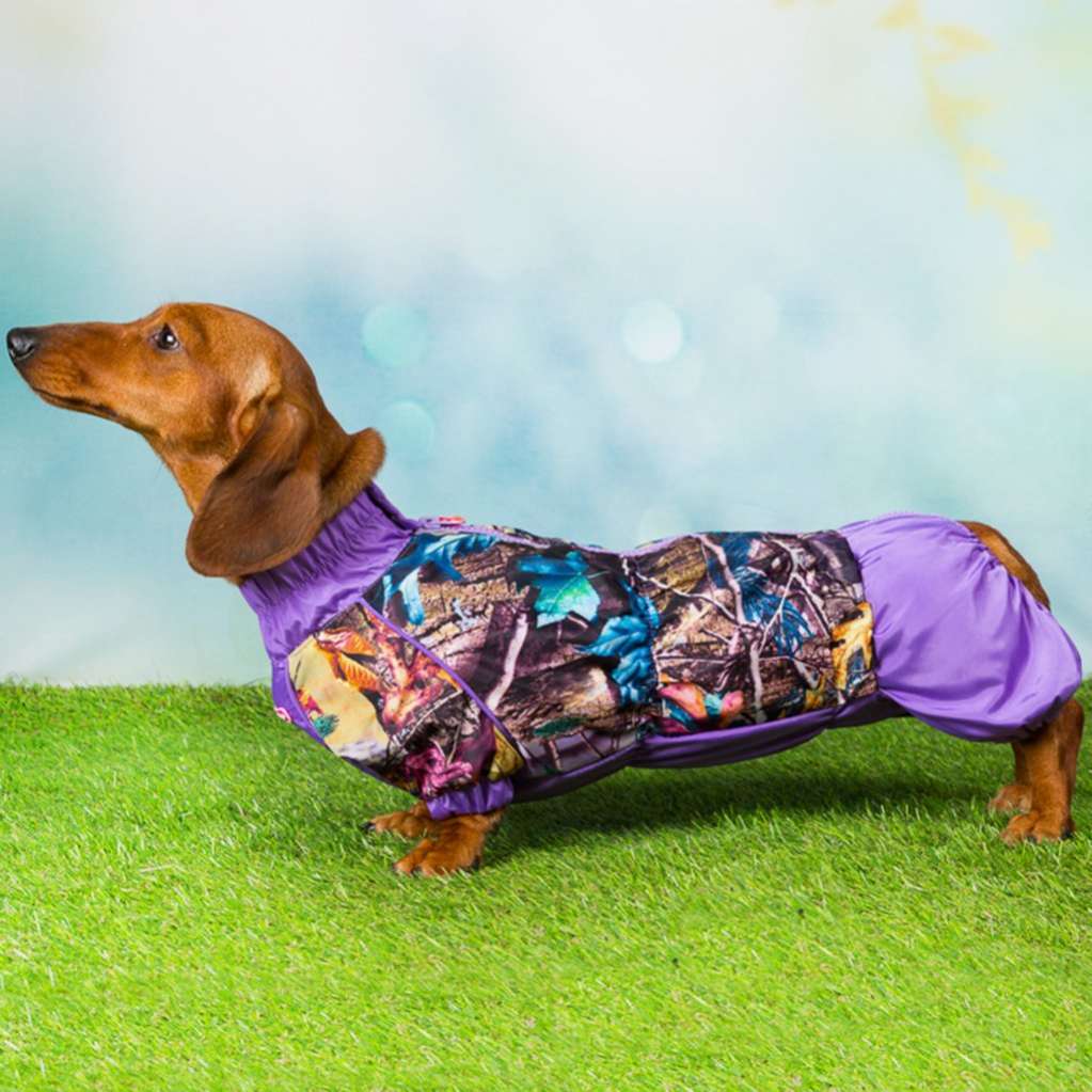 Дождевик для таксы и корги ForMyDogs Яркие краски