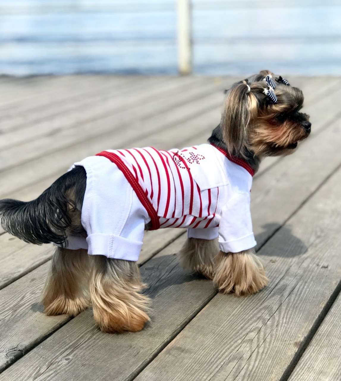 Футболка для собаки Premium Якорь