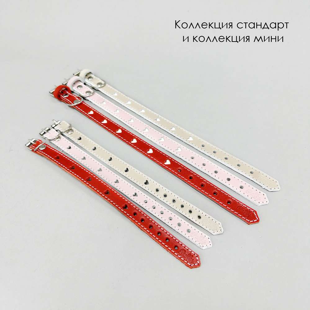 Ошейник для собак Puffy с высечкой на подложке, Сердечки