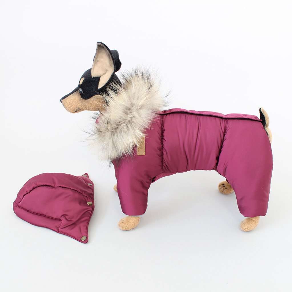 Зимний комбинезон для собак Северное сияние Бургунди