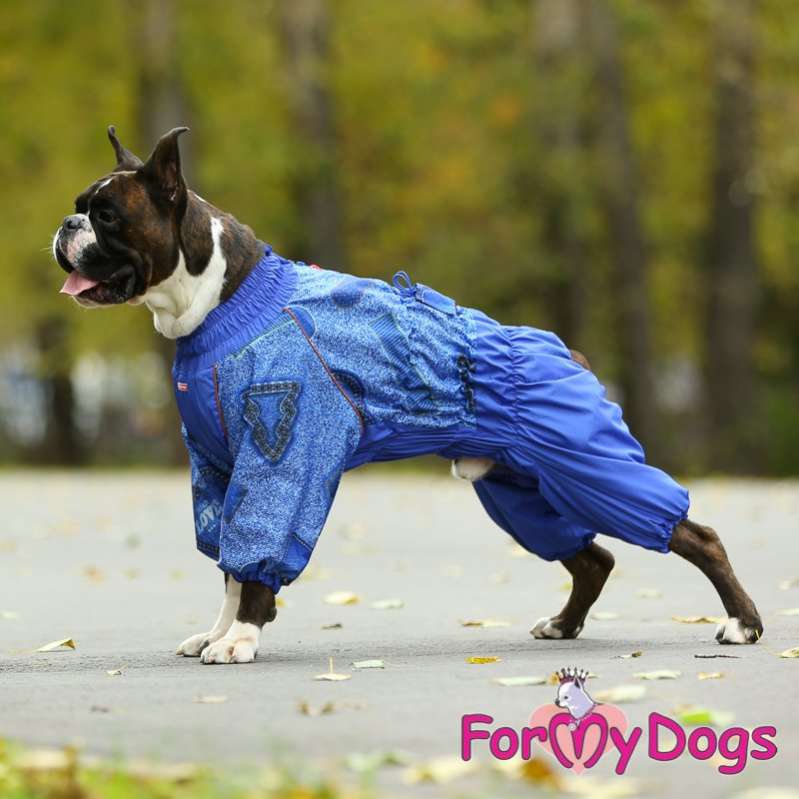 Комбинезон для собак средних и крупных пород ForMyDogs Blue