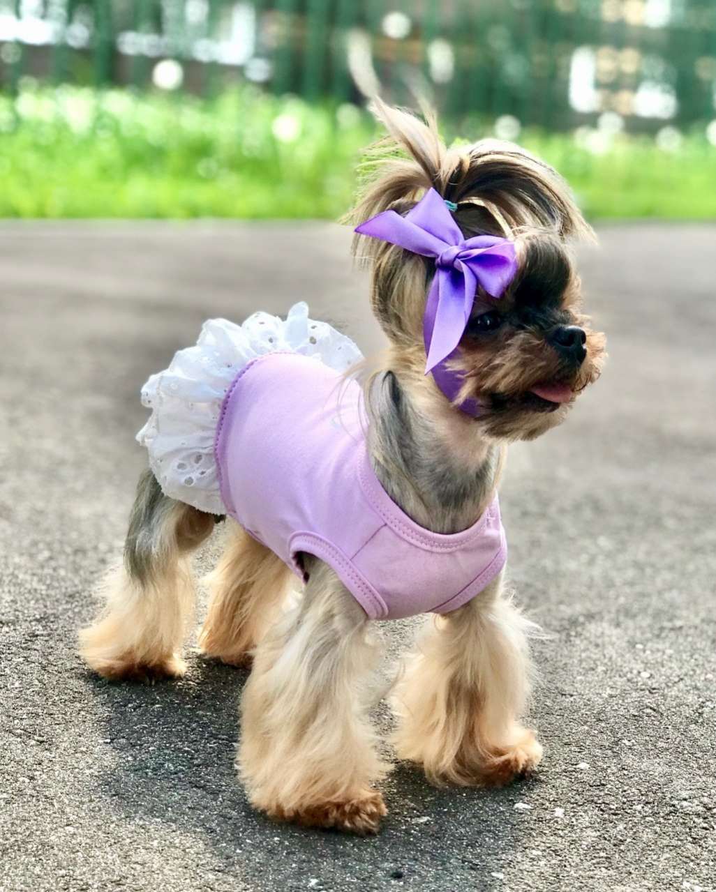 Майка для собаки Песочник Premium Бантик