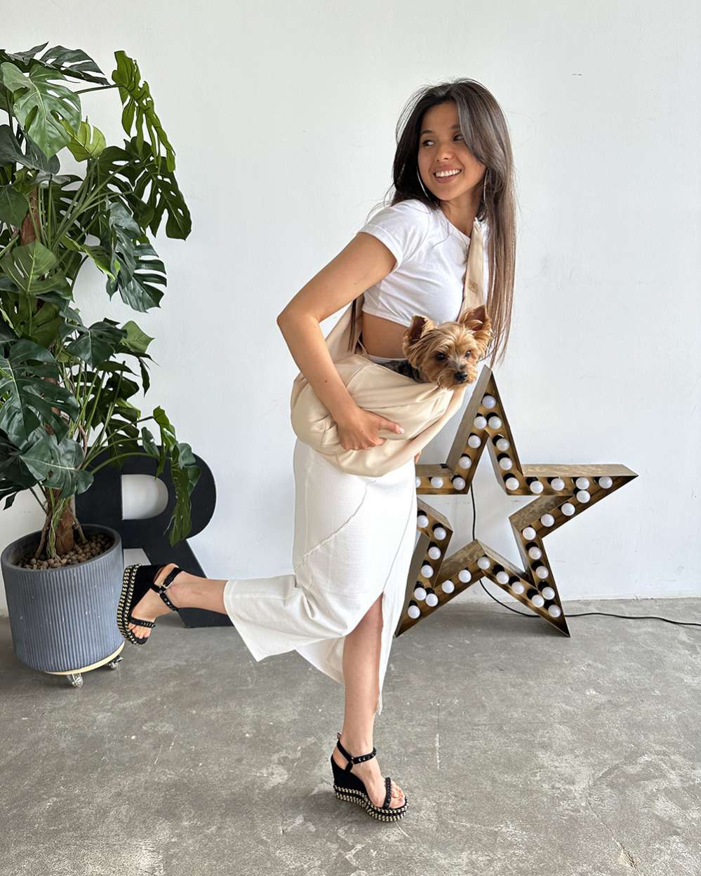 Сумка для собак Гамак Puffy Ваниль летняя