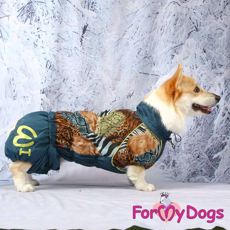 Комбинезон для таксы и корги ForMyDogs Энимал