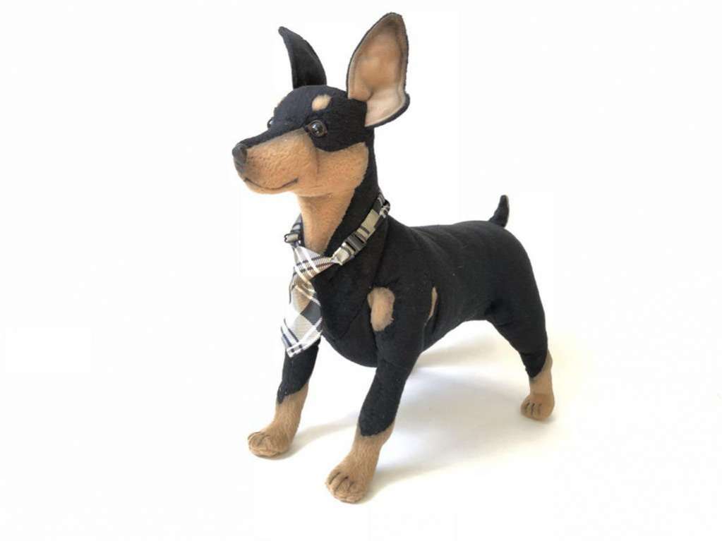 Галстук для собаки