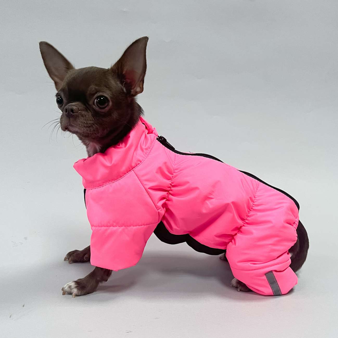 Комбинезон для собак Puffy Тигон