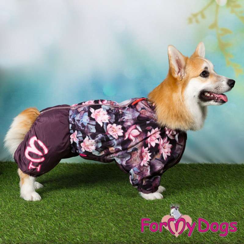 Дождевик для таксы и корги ForMyDogs Кувшинки