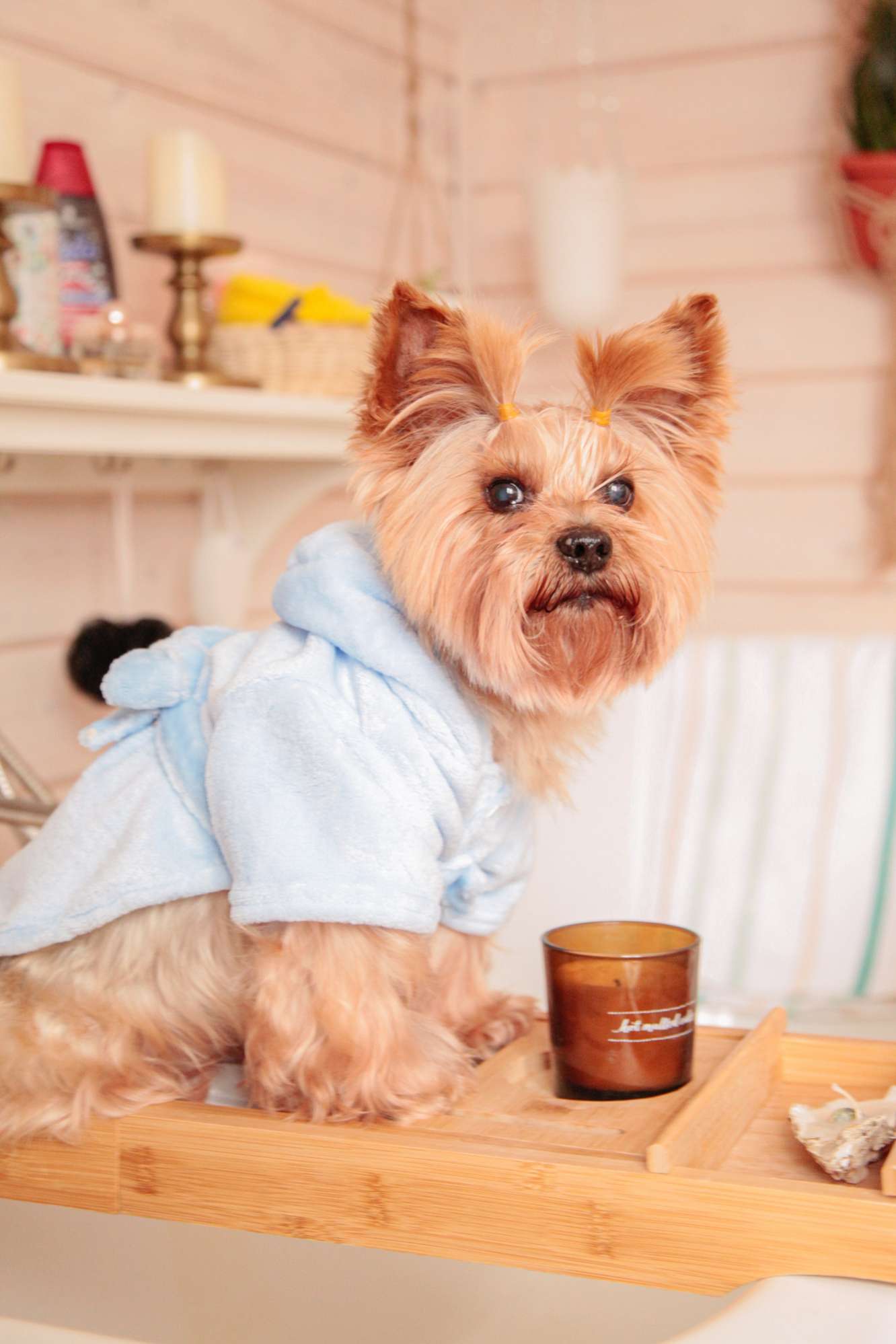 Халат для собак банный плюшевый