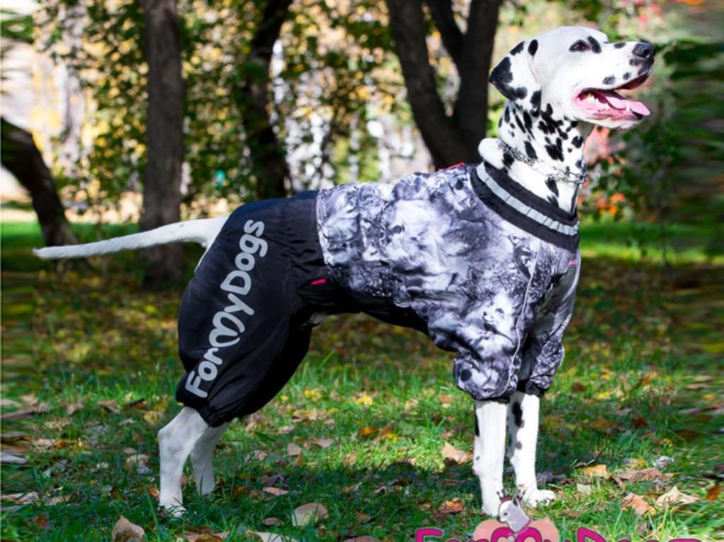 Комбинезон для собак на широкую грудь ForMyDogs Wolf