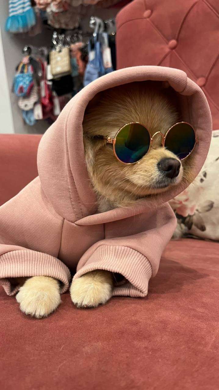 Толстовка для собак с капюшоном Pet Хьюго