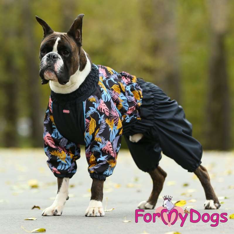 Комбинезон для собак на широкую грудь ForMyDogs Папоротник