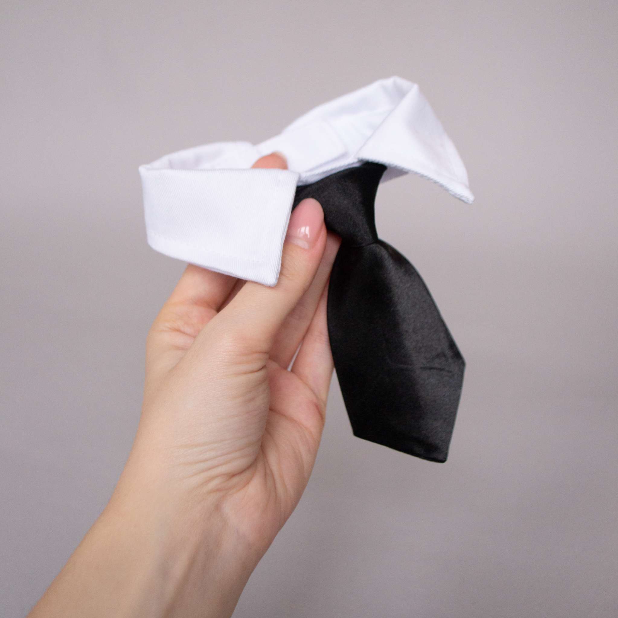 Галстук для собак Pet Boss