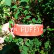 Миска для собак фарфоровая для собак Puffy Арт