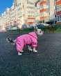 Дождевик для собаки Puffy Шоколад розовый