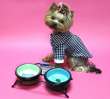 Миска для собак на подставке Dogs