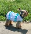 Платье для собак Premium Зефир