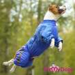 Комбинезон для собак средних и крупных пород ForMyDogs Blue