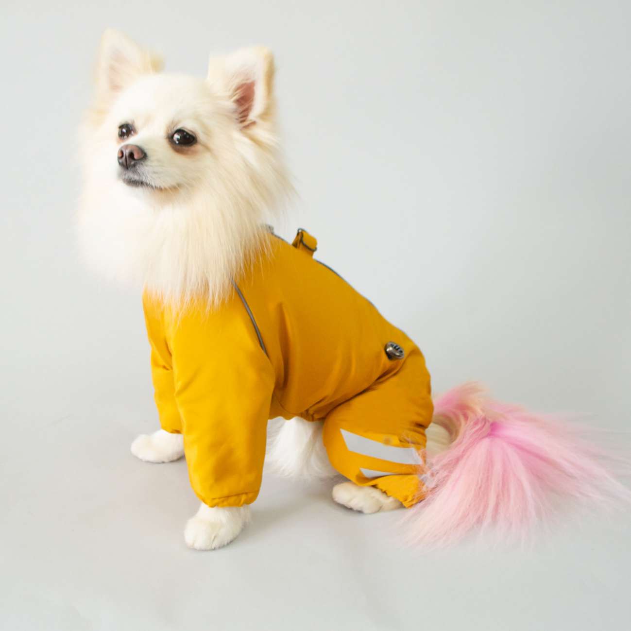 Дождевик для собаки Puffy Полоски