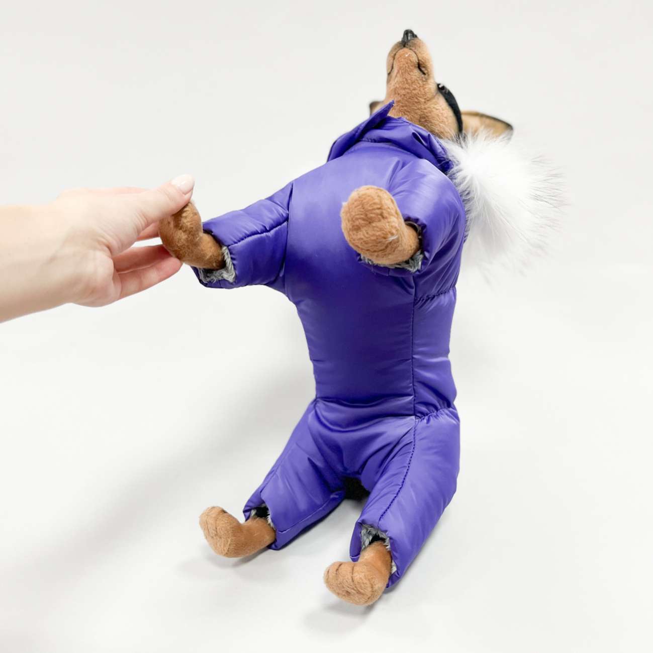 Комбинезон для собак Северное сияние Вайлет