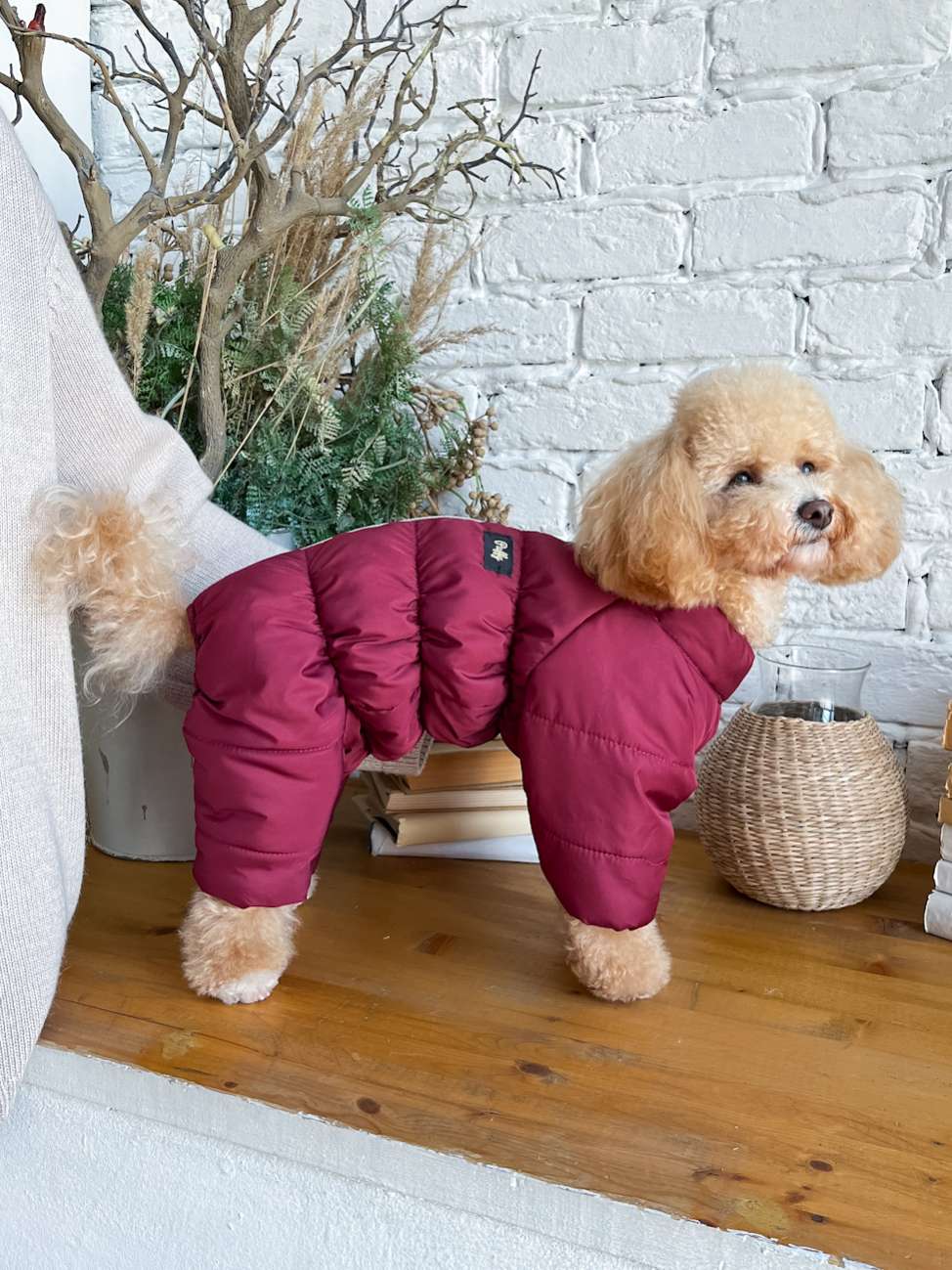 Зимний комбинезон для собак Puffy Норд Бордовый