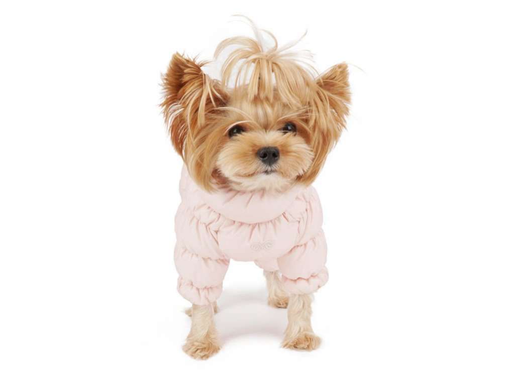 Комбинезон для собак PuppyAngel Полюс
