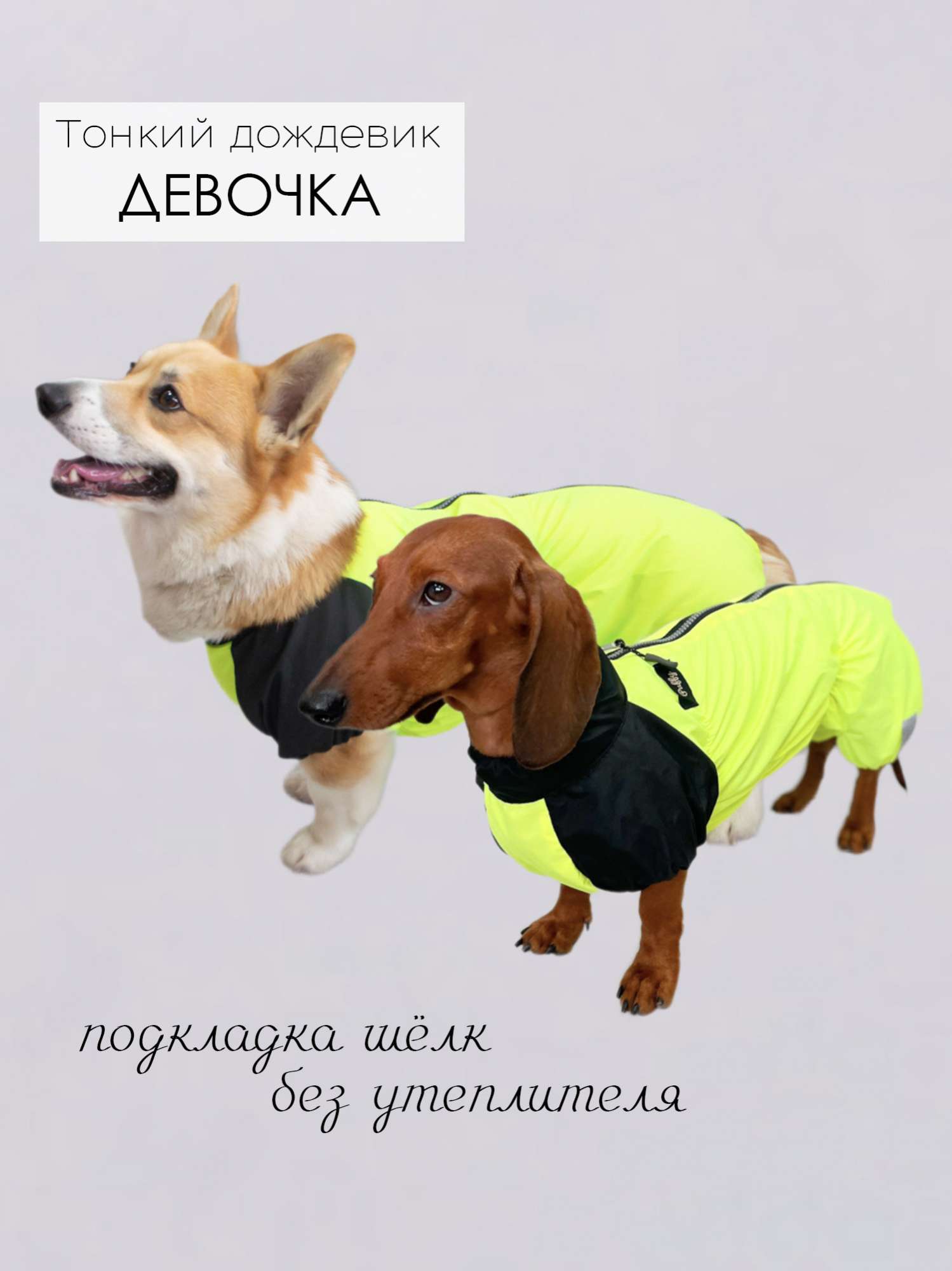 Дождевик для таксы и корги Puffy Лайм Лимонный