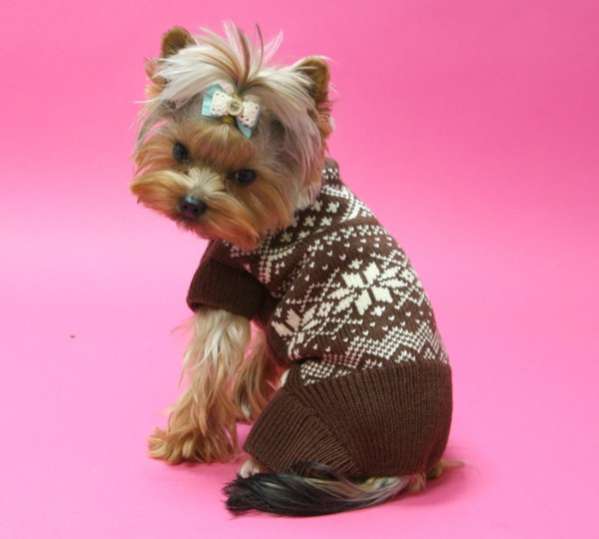 Шерстяной костюм для собак Снежинки