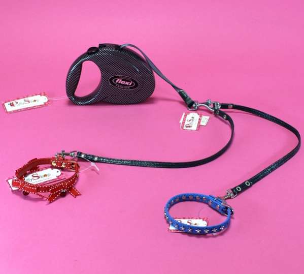 Ошейник для собак ForMyDogs Боня