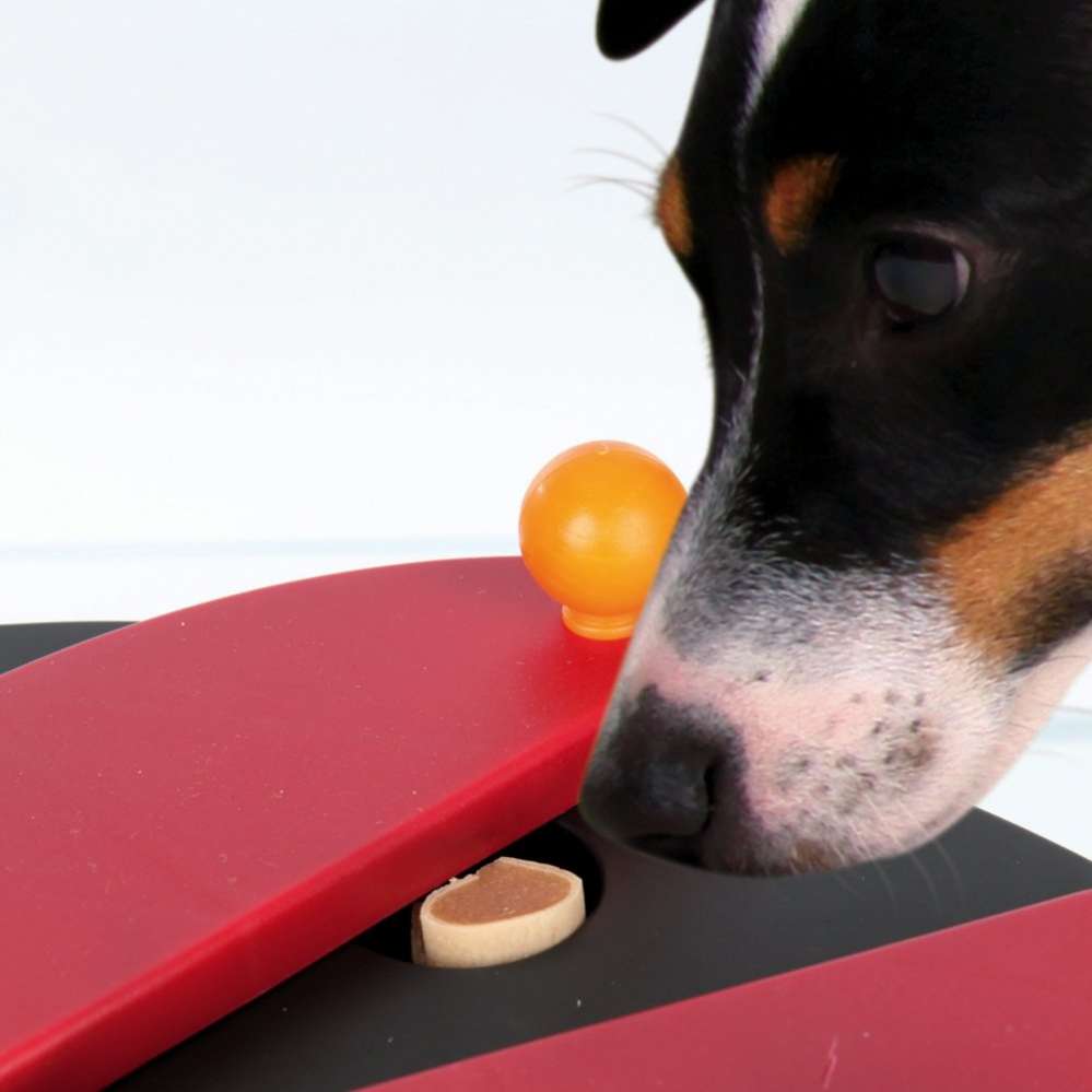 Развивающая игрушка для собак Push Away