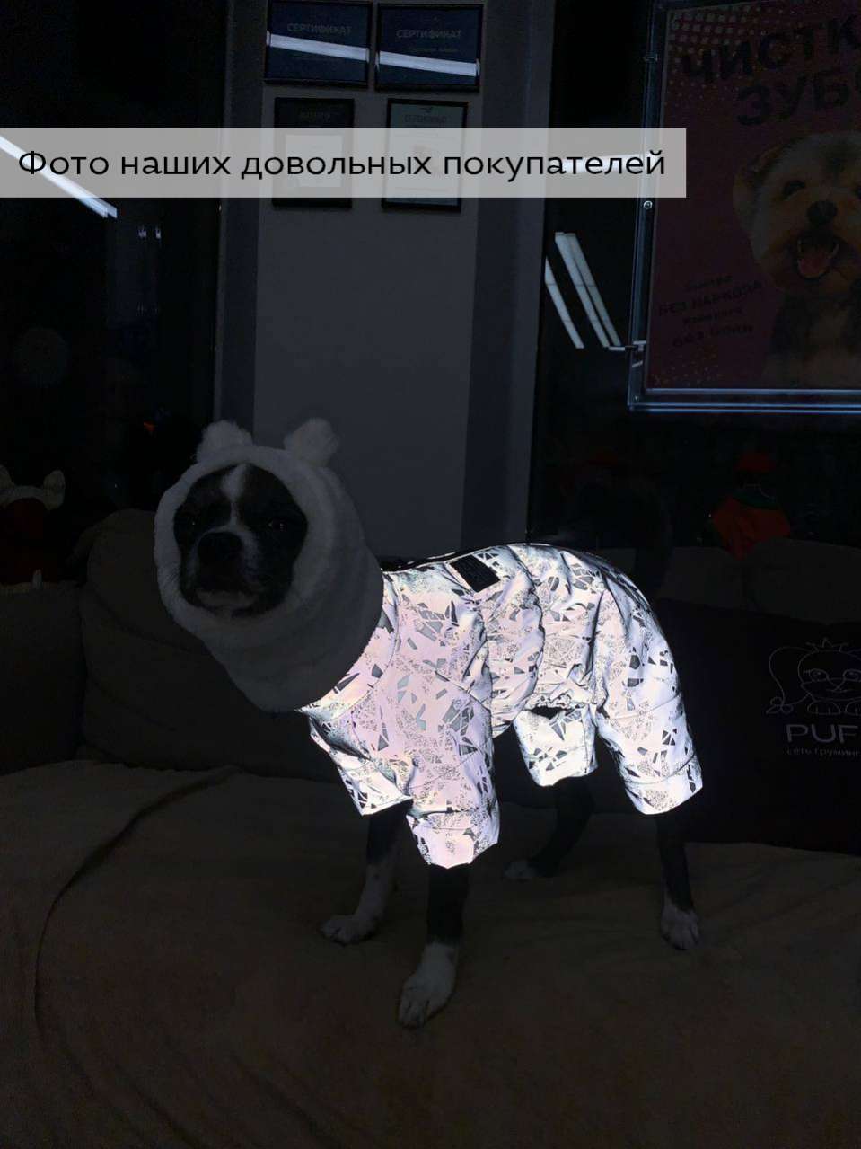 Шапка для собаки Капор Puffy Мишка