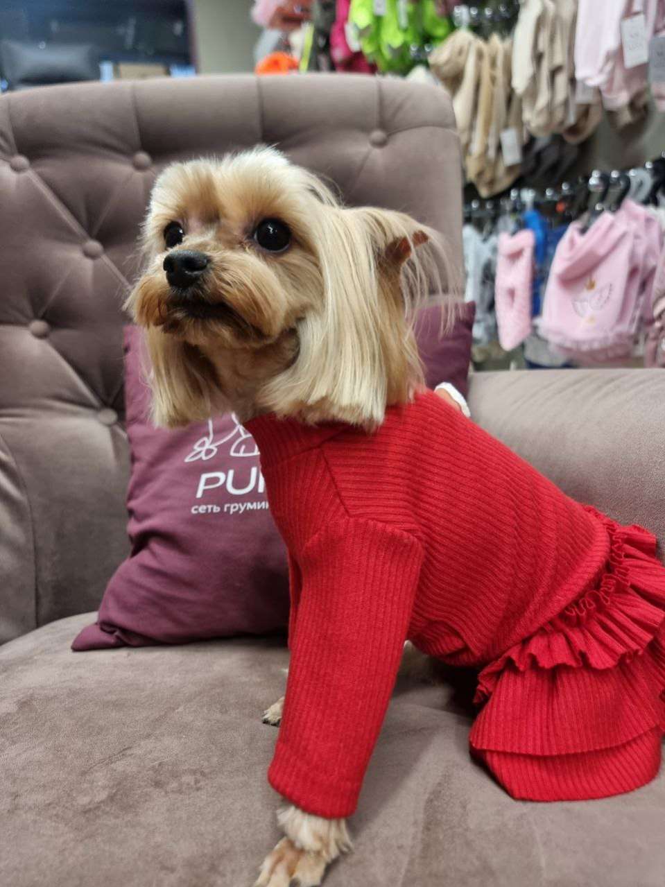 Платье Puffy Лапша Клубничка